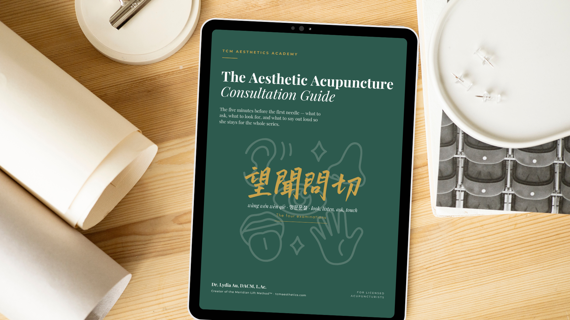 The Aesthetic Acupuncture Consultation Guide cover